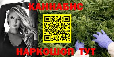 мяу мяу мука Нальчик