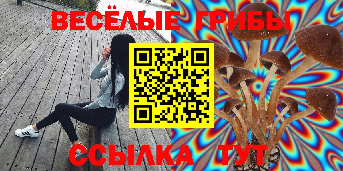 Псилоцибиновые грибы Cubensis Сургут